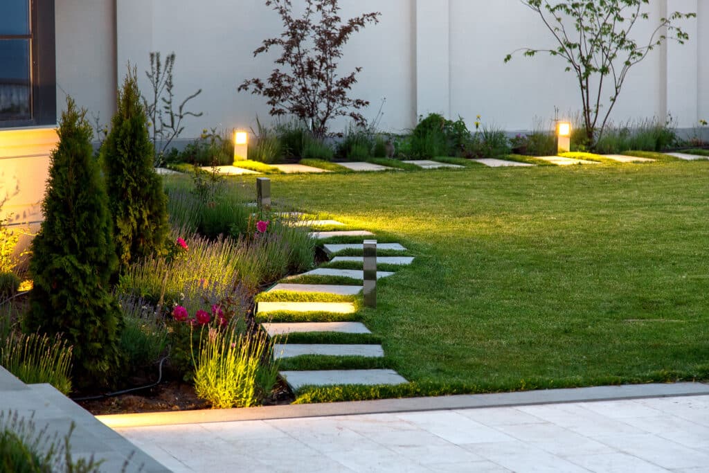 Jardin moderne avec chemin éclairé la nuit. Lampes intégrées aux dalles, lavande, roses, et thuyas. Un chat observe près du mur.